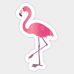 Pink flamingo Sticker